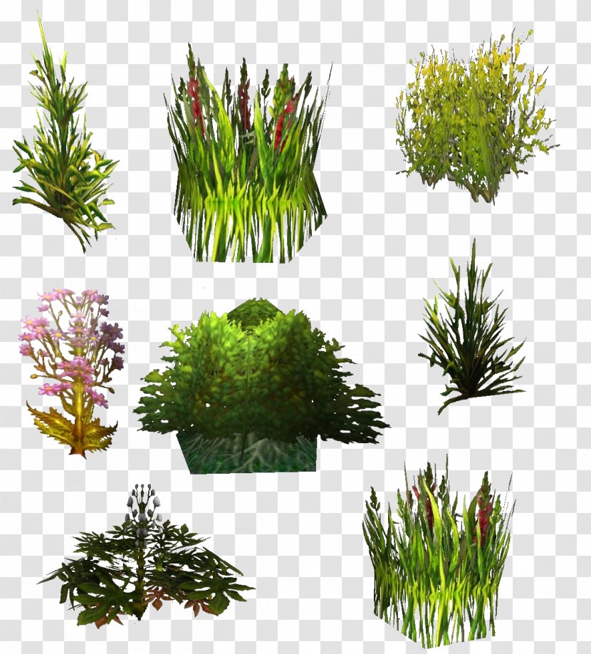 Texture Mapping Plant World Of Warcraft Shrub - Hedge Transparent PNG