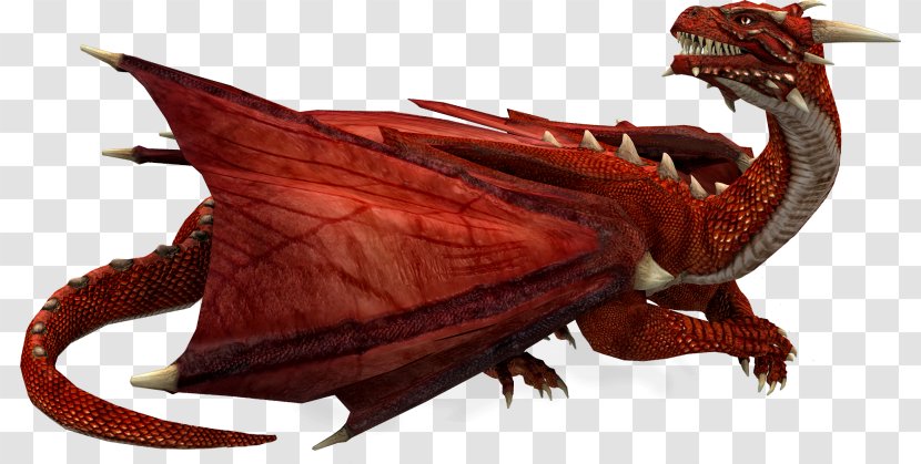 Dragon Wyvern Digital Image - Information Transparent PNG