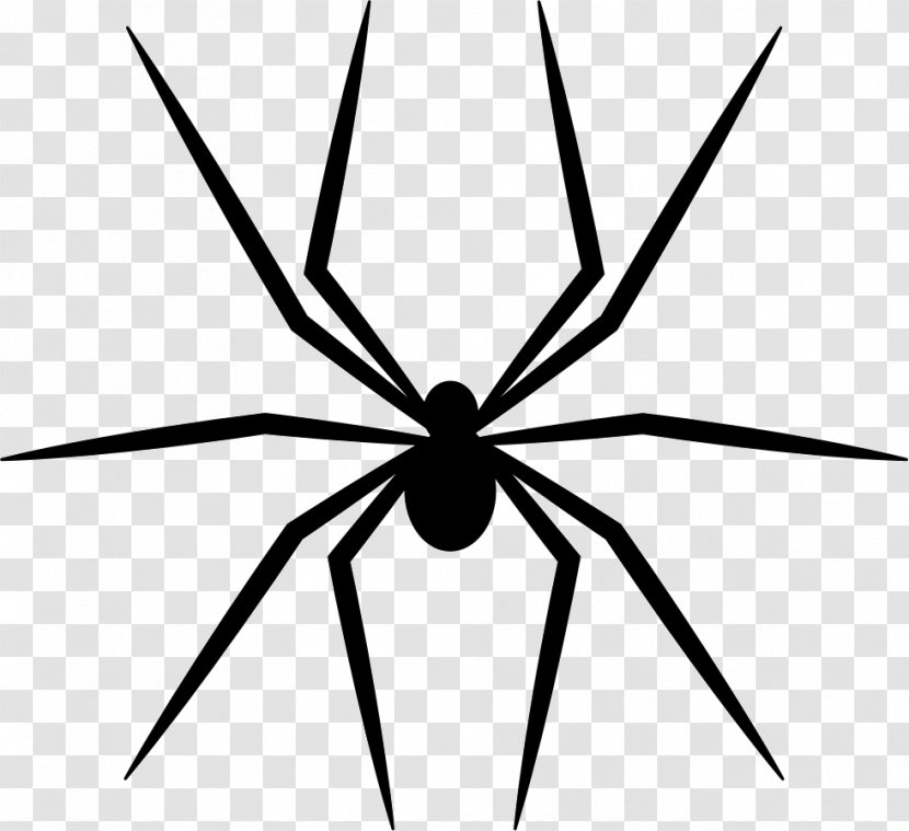 Spider - Tangle Web Transparent PNG