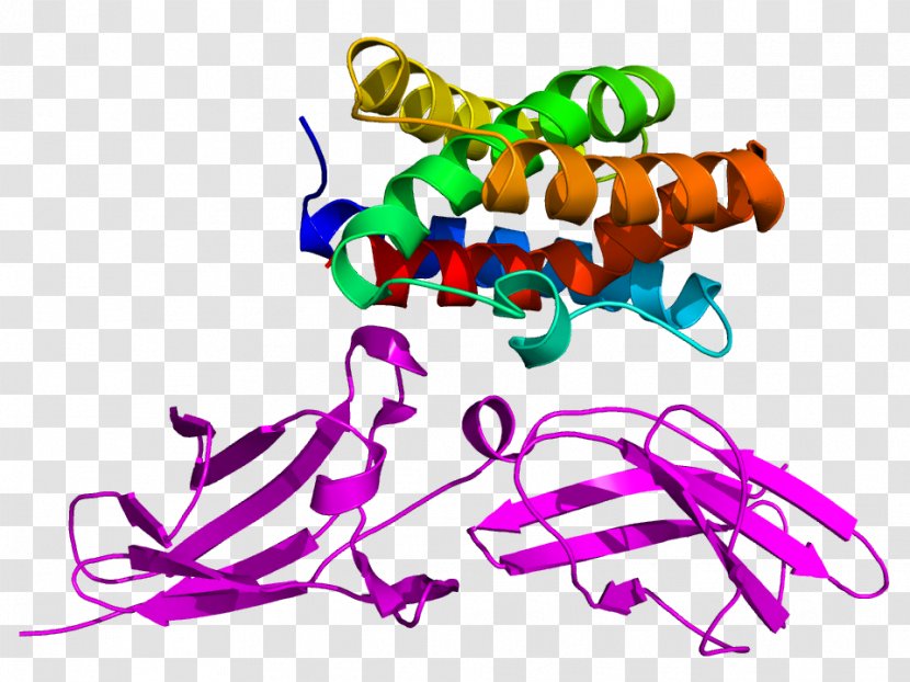 Interleukin 22 10 Interleukin-2 Protein - Cytokine - Cellular Transparent PNG