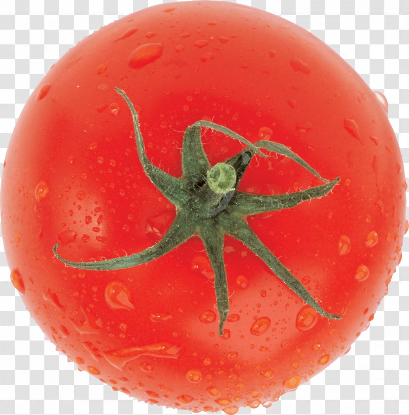 Cherry Tomato Vegetable Clip Art - Fruit Transparent PNG
