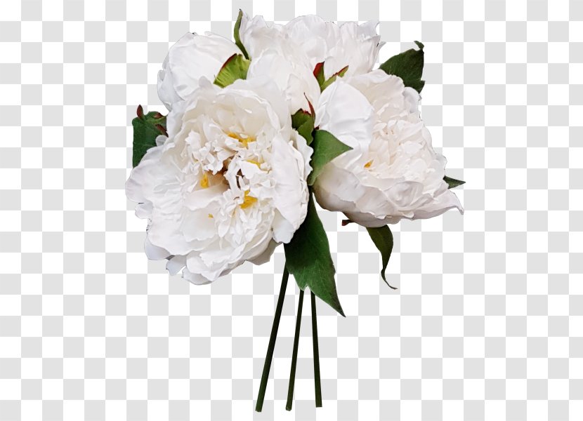 Cut Flowers Floral Design Floristry Flower Bouquet - Peony - Bud Wedding Transparent PNG