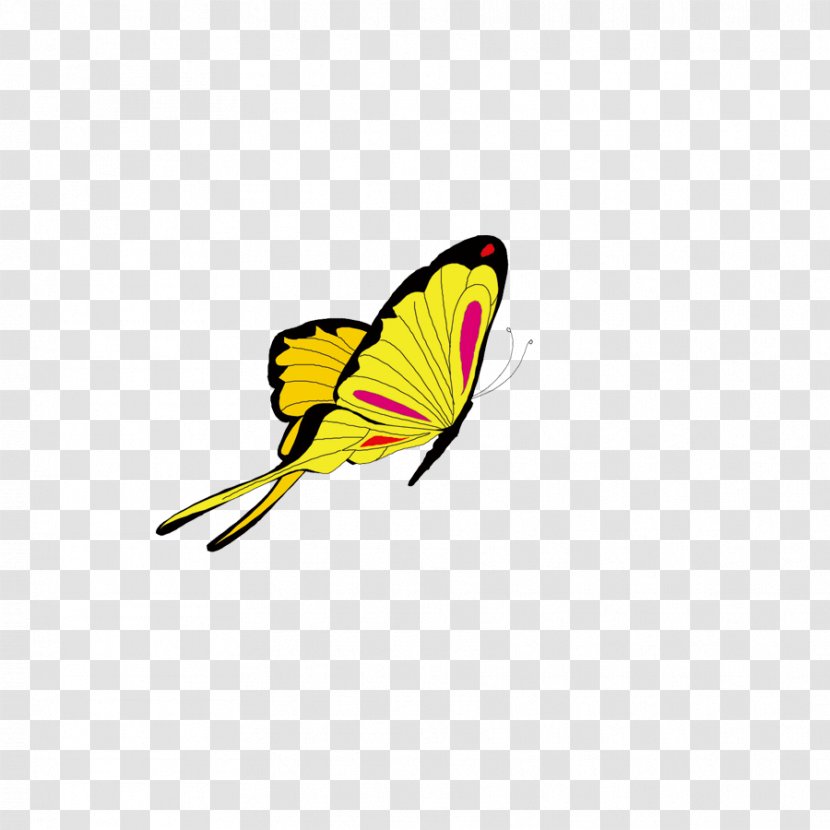 Animation Clip Art - Butterfly Transparent PNG