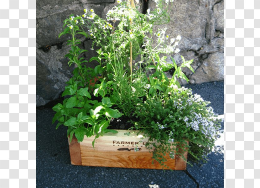 Herb Flowerpot Flower Box Window Garden - Houseplant Transparent PNG