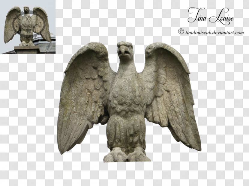 Eagle Fauna Beak - Statue Transparent PNG