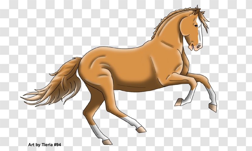 Mane Foal Stallion Colt Mare - Sorrel - Mustang Transparent PNG