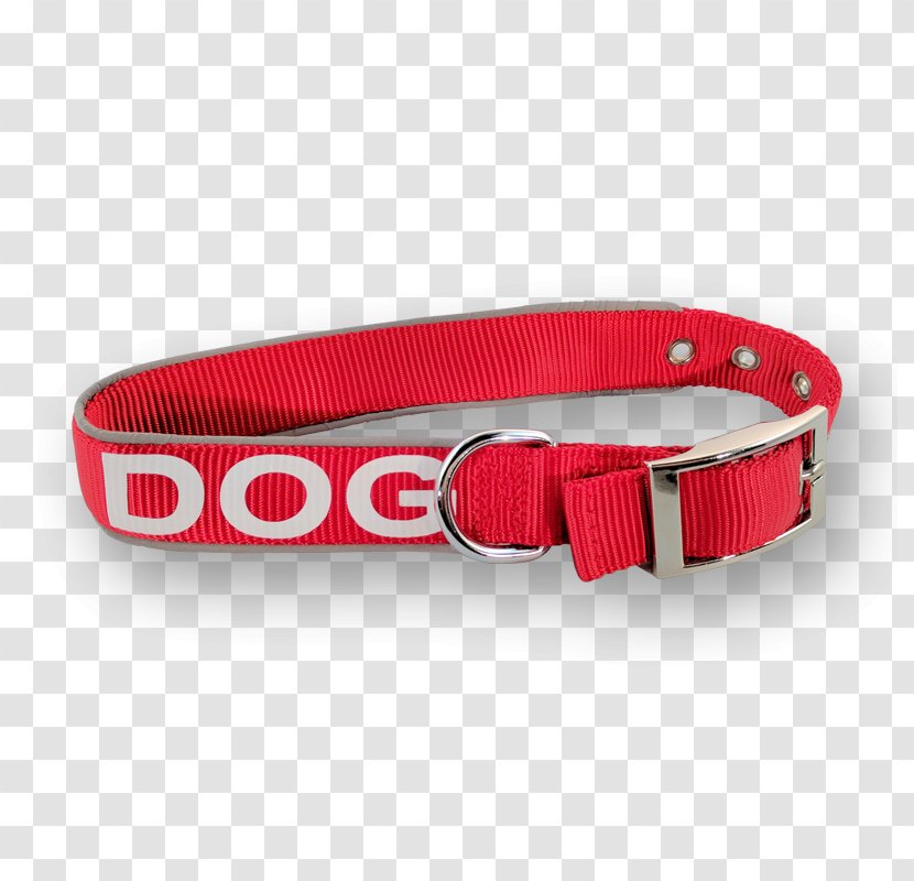 Belt Dog Collar Buckle Transparent PNG