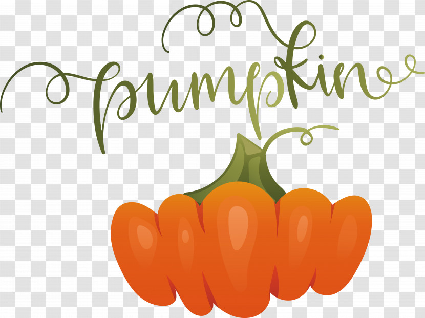 Pumpkin Transparent PNG