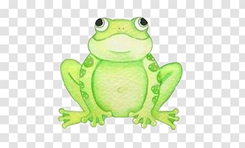Frog Wedding Invitation Baby Shower Clip Art - Birthday Transparent PNG