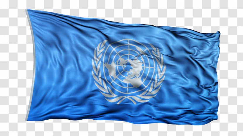 Flag Of The United Nations Throw Pillows QuickTime File Format - Wikipedia Transparent PNG