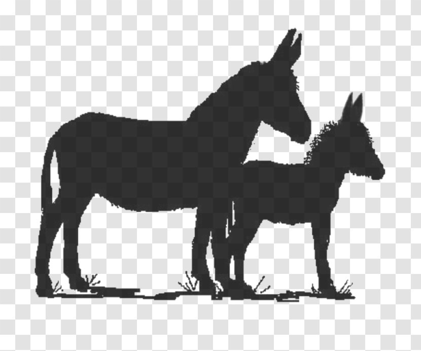 Mule Stallion Foal Mare Donkey - Nativity Scene Transparent PNG