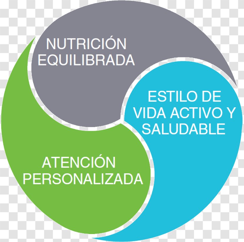 Herbal Center Sports Nutrition Dieting Lifestyle Eating - Area - Filosofia Transparent PNG