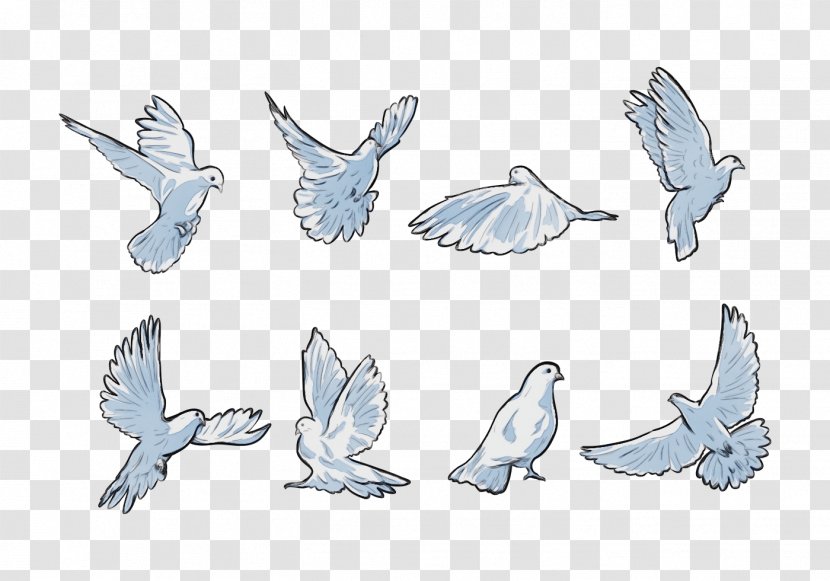 Wing Pigeons And Doves Rock Dove Animal Figure Bird - Line Art Drawing Transparent PNG