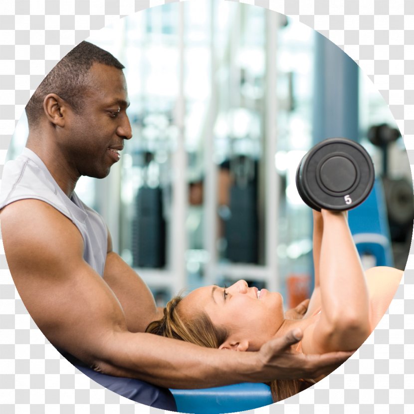 Weight Training Bench Press Personal Trainer Fitness Centre - Flower - Pay Day Transparent PNG