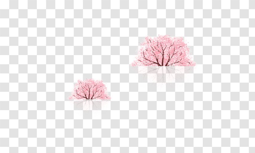 National Cherry Blossom Festival - Cerasus - Fresh And Beautiful Pink Blossoms Transparent PNG
