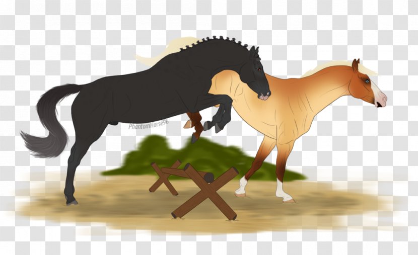 Mustang Stallion Mare Star Stable Art Transparent PNG