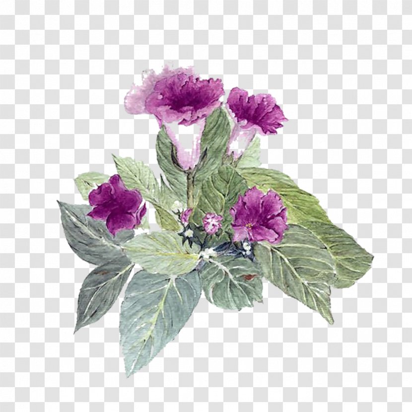Floral Design Flower Download - Google Images - Weigela Bouquet Picture Material Transparent PNG
