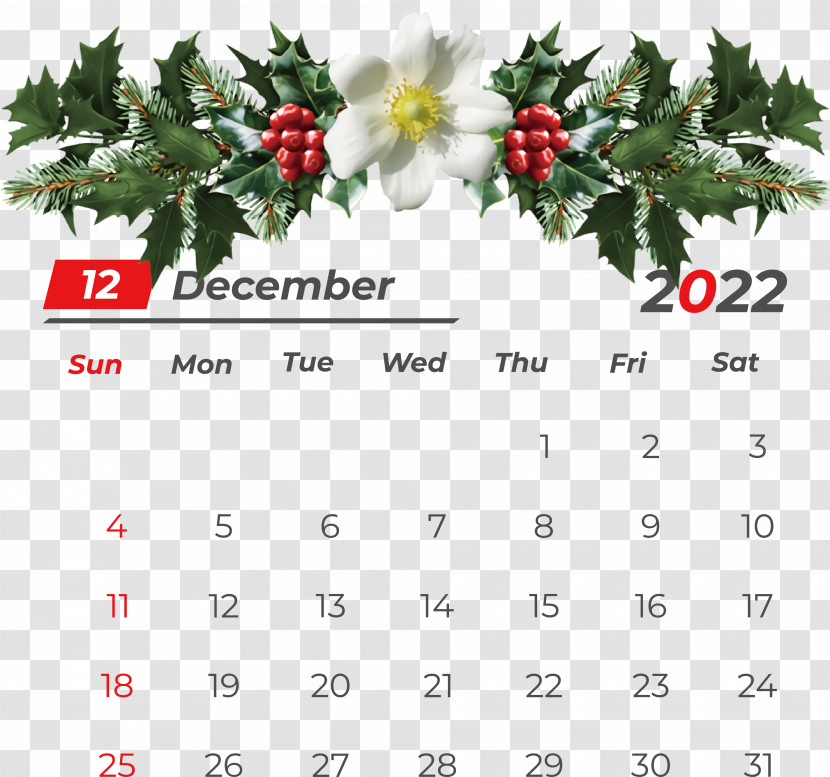 Christmas Mistletoe Transparent PNG