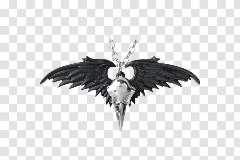 Charms & Pendants The Raven Necklace Jewellery Common - Chain Transparent PNG