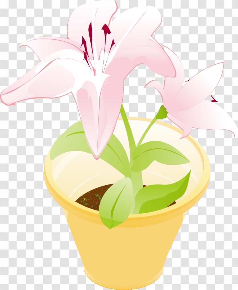 Floral Design Flowerpot Clip Art - Flower Garden - Vector Pot Transparent PNG
