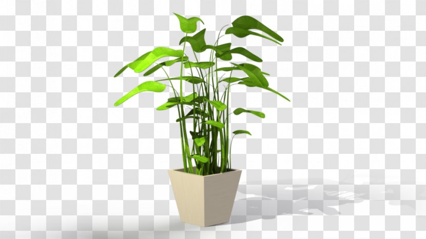 Houseplant Flowerpot Tree - Garden - Potted Plant Transparent PNG