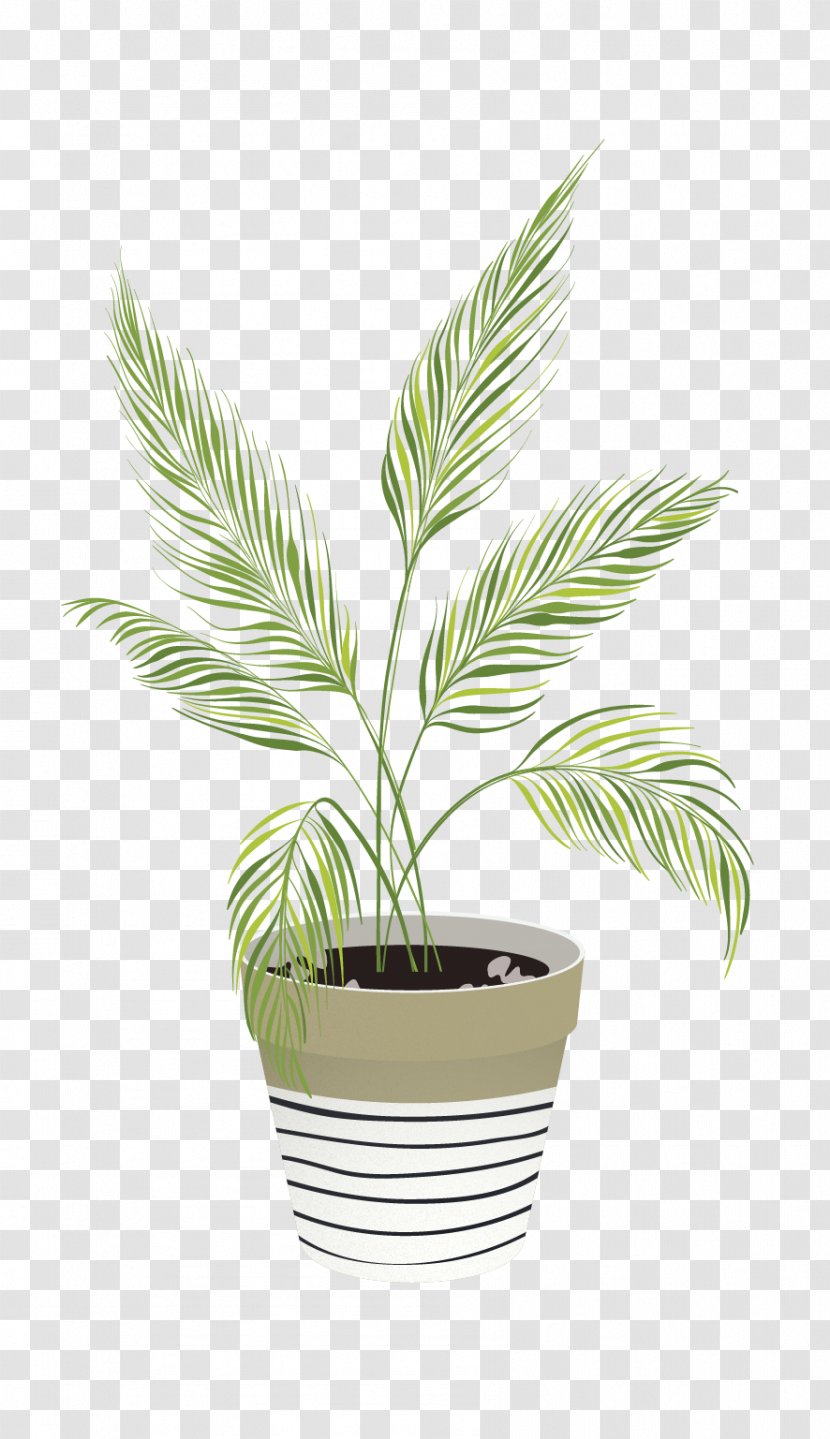 Palm Trees Houseplant Drawing Image Illustration - Digital - Painting Transparent PNG