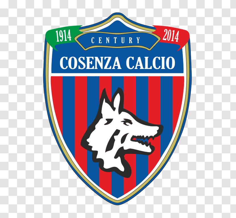 Cosenza Calcio Casertana F.C. U.S. Lecce Football - Area Transparent PNG
