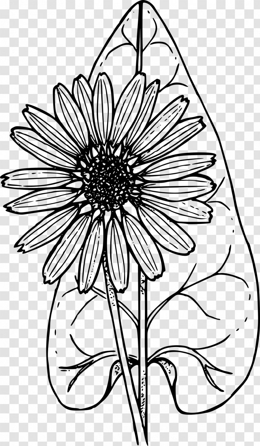 Coloring Book Wildflower Child - Holy Communion Transparent PNG