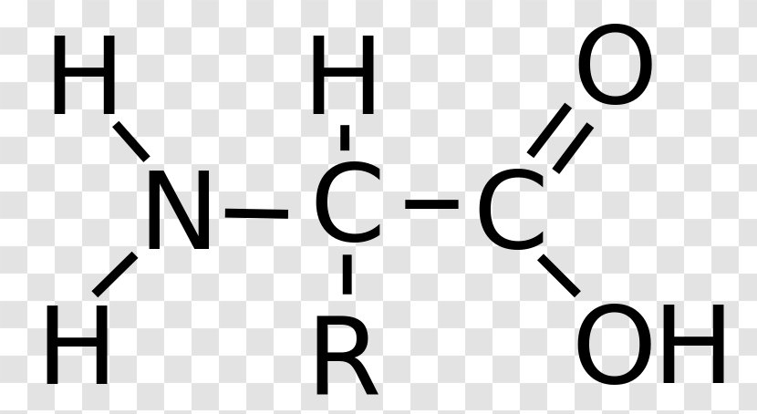 Bromoacetic Acid Carboxylic Amino Functional Group Transparent PNG