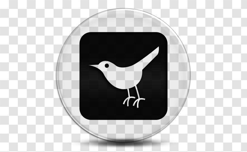 Social Media Beak Bird Twitter Network Transparent PNG