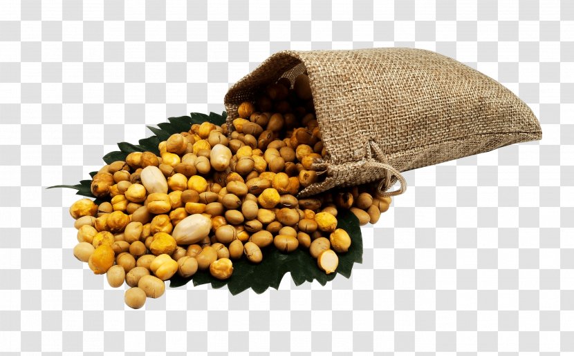 Soy Nut Vegetarian Cuisine Ingredient Food Spice - Commodity - Peanut Farms Plants Transparent PNG