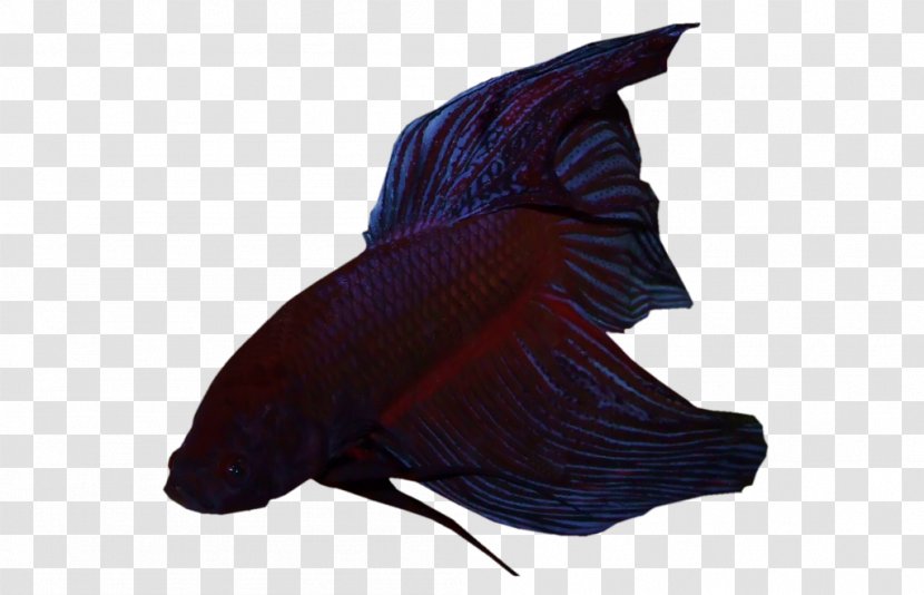 Fish - Purple Transparent PNG