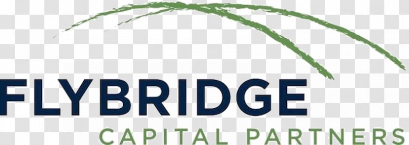 Venture Capital Flybridge Partners Partnership Company Business - Fly Transparent PNG