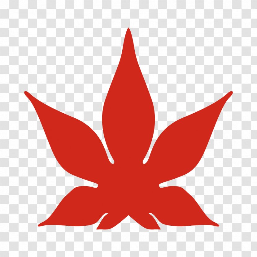 Maple Leaf Autumn Fall - Logo Plant Transparent PNG