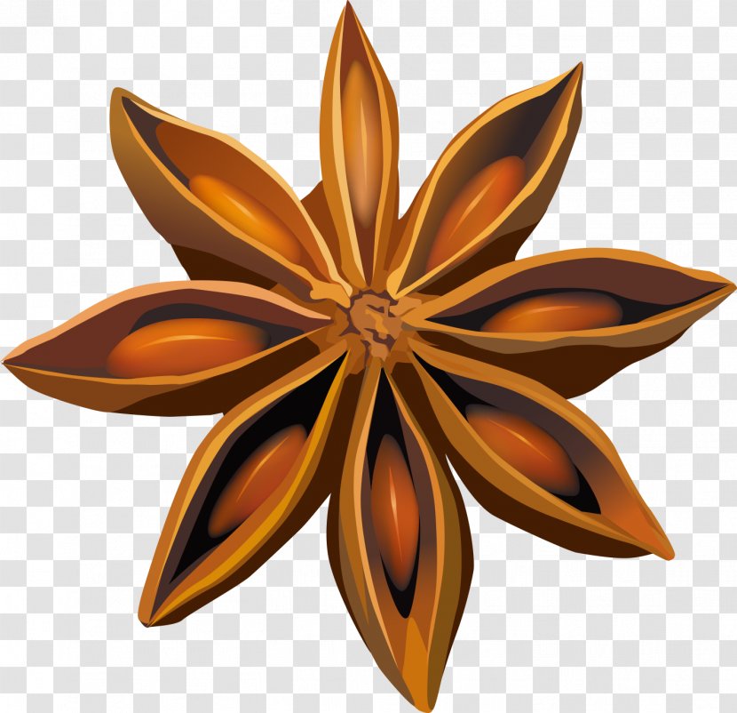 The Indian Connection Restaurant Spice Star Anise Food - Flower - Anason Pictogram Transparent PNG