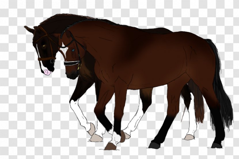 Mustang Foal Stallion Mare Pony - Horse Supplies Transparent PNG