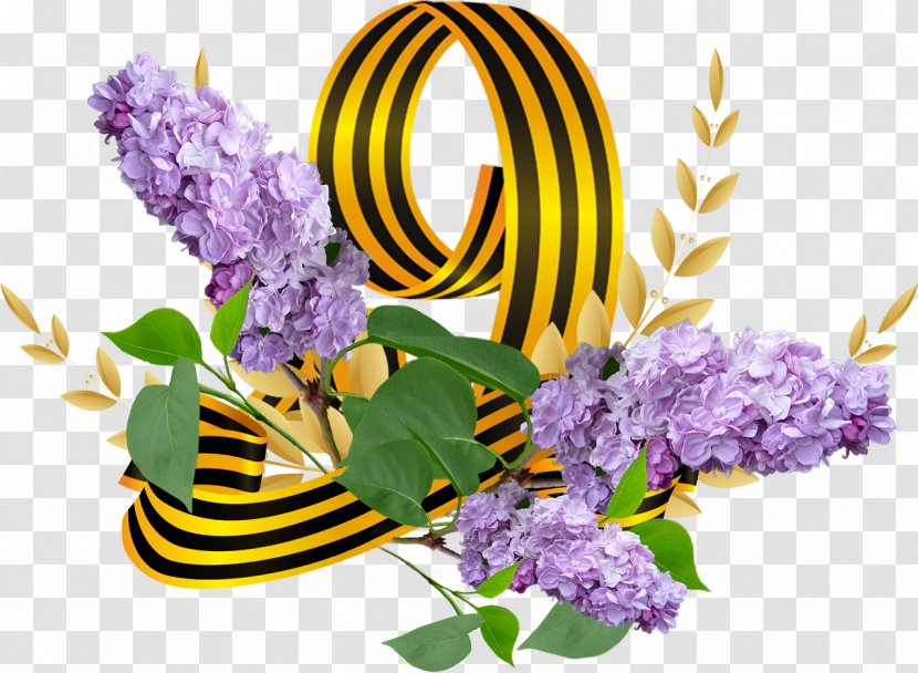 Victory Day Den Pobedy Holiday War May - Flower - Flowering Plant Transparent PNG