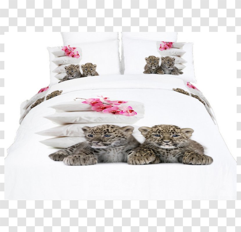 Bed Sheets Bedding Duvet Covers Size - Mattress Transparent PNG