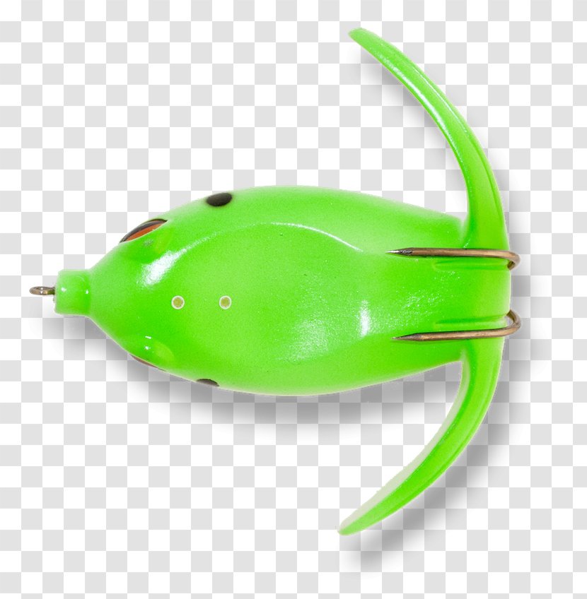 Amphibian Green Transparent PNG