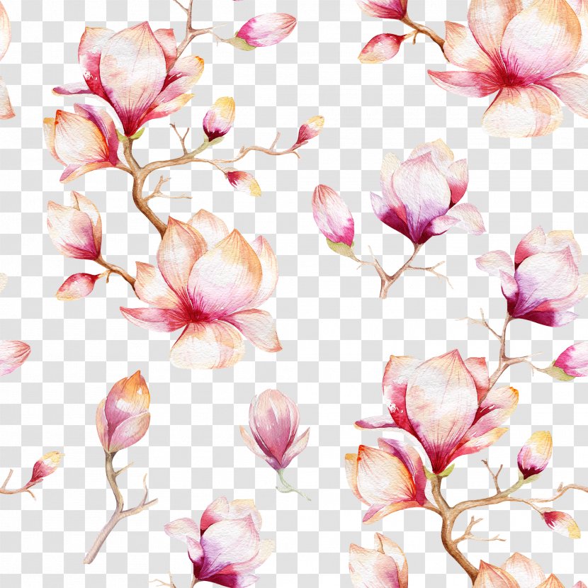 Southern Magnolia Watercolor Painting Royalty-free - Blossom - Pink Flowers Shading Transparent PNG