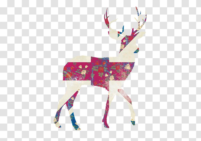 Reindeer Antler - Deer - Amanda Transparent PNG