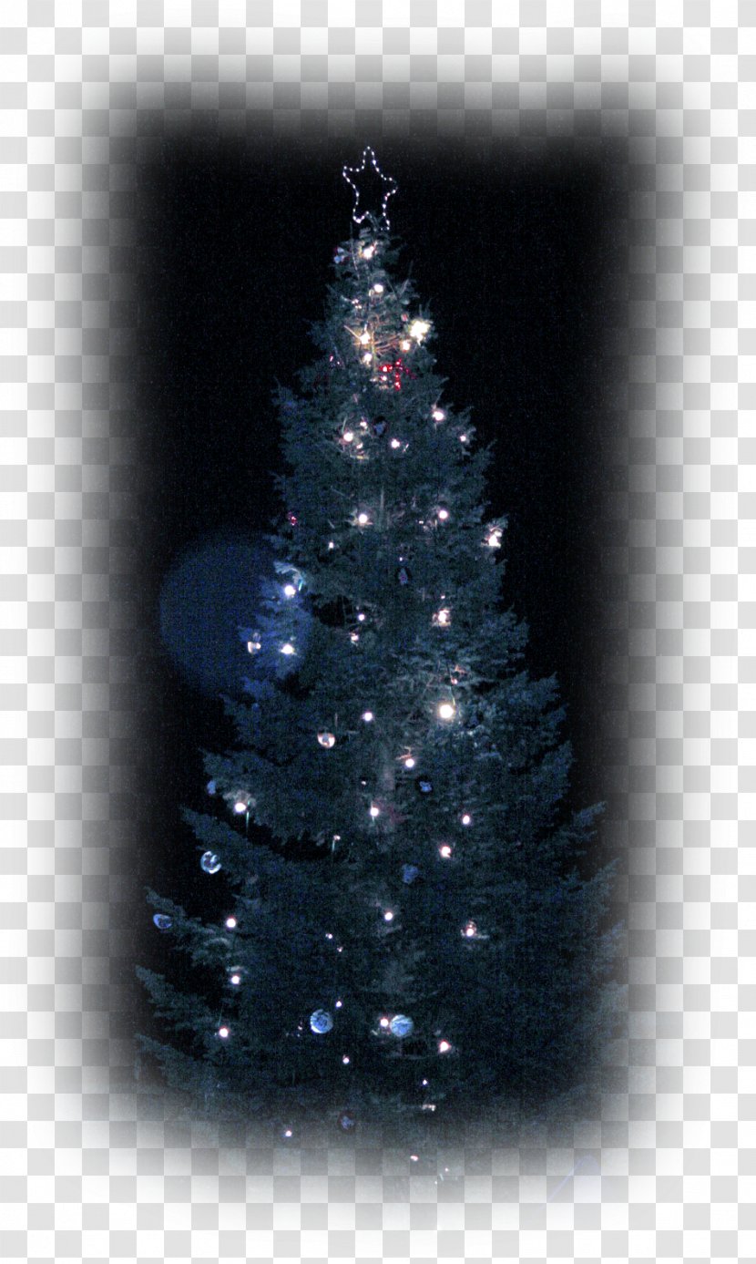 Christmas Tree Spruce Ornament Fir Pine Transparent PNG