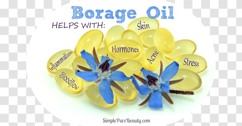 Borage Seed Oil Gamma-Linolenic Acid Food - Pulling - Beauty Of Europe And The United States Transparent PNG