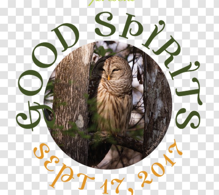 Whiskers Sweetheart Sale Cat Owl Fauna - Like Mammal Transparent PNG