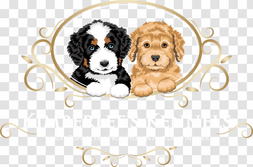 Cavalier King Charles Spaniel Puppy Dog Breed Companion Kimberlee's Kennels - Socialization - Apricot Poodles Temperament Transparent PNG