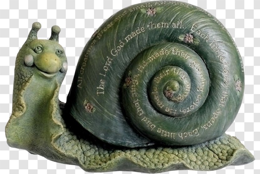 Snail Orthogastropoda Clip Art - Molluscs - Handmade Transparent PNG