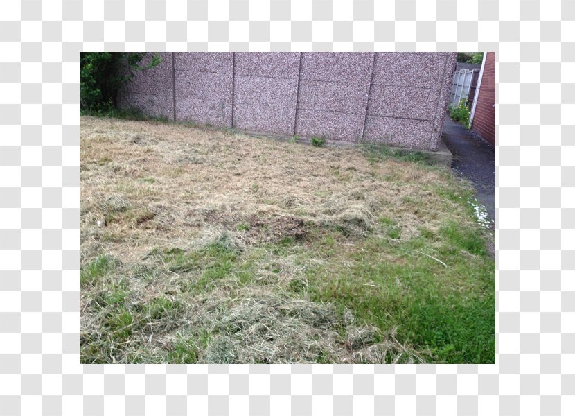 Real Property Lawn Land Lot Grasses - Cutting Grass Transparent PNG
