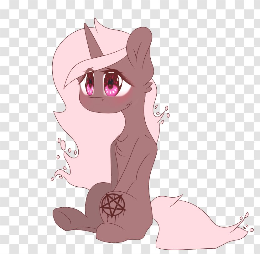 Kitten Whiskers Cat Horse Pony - Frame Transparent PNG