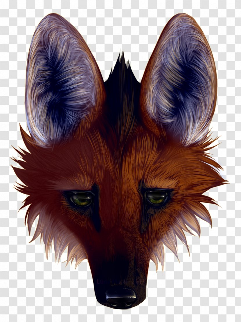 Maned Wolf Wolfdog Face Animal - Chrysocyon Transparent PNG