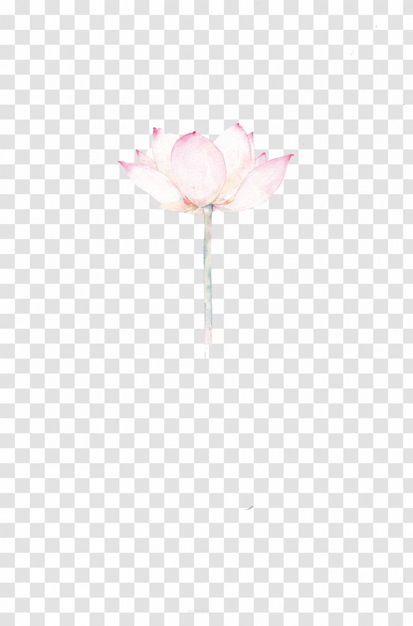 Rosaceae Still Life Photography Cut Flowers Petal Wallpaper - Computer - Hand-painted Lotus Transparent PNG